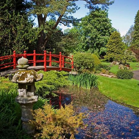 The Curragh Country House Accommodation Нюбридж Екстериор снимка