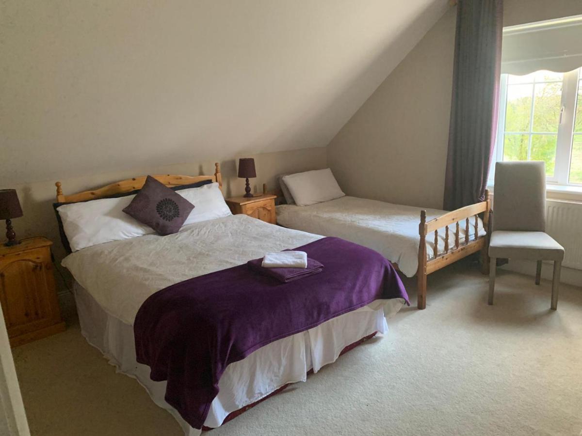 The Curragh Country House Accommodation Нюбридж Екстериор снимка