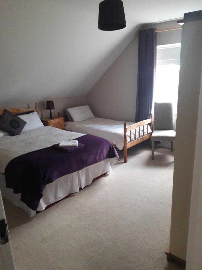 The Curragh Country House Accommodation Нюбридж Екстериор снимка