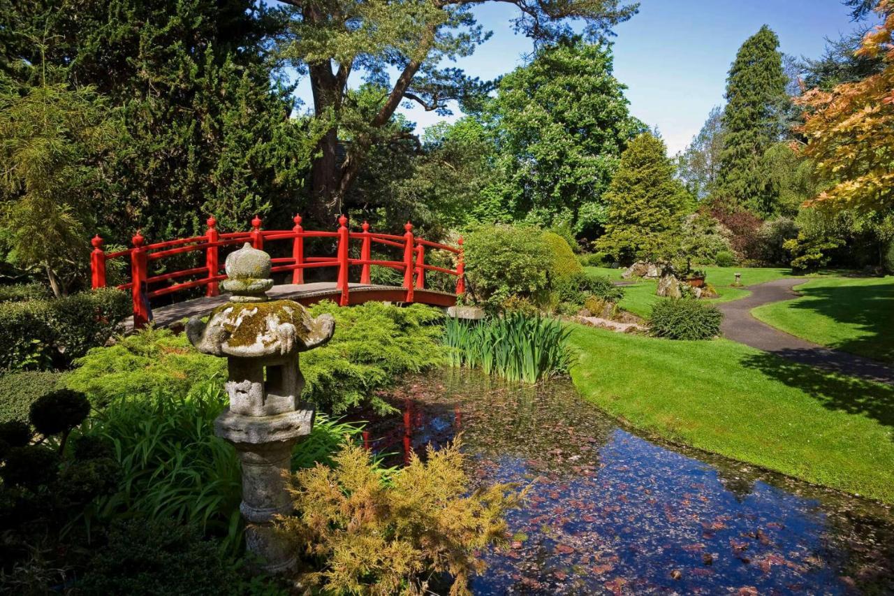 The Curragh Country House Accommodation Нюбридж Екстериор снимка