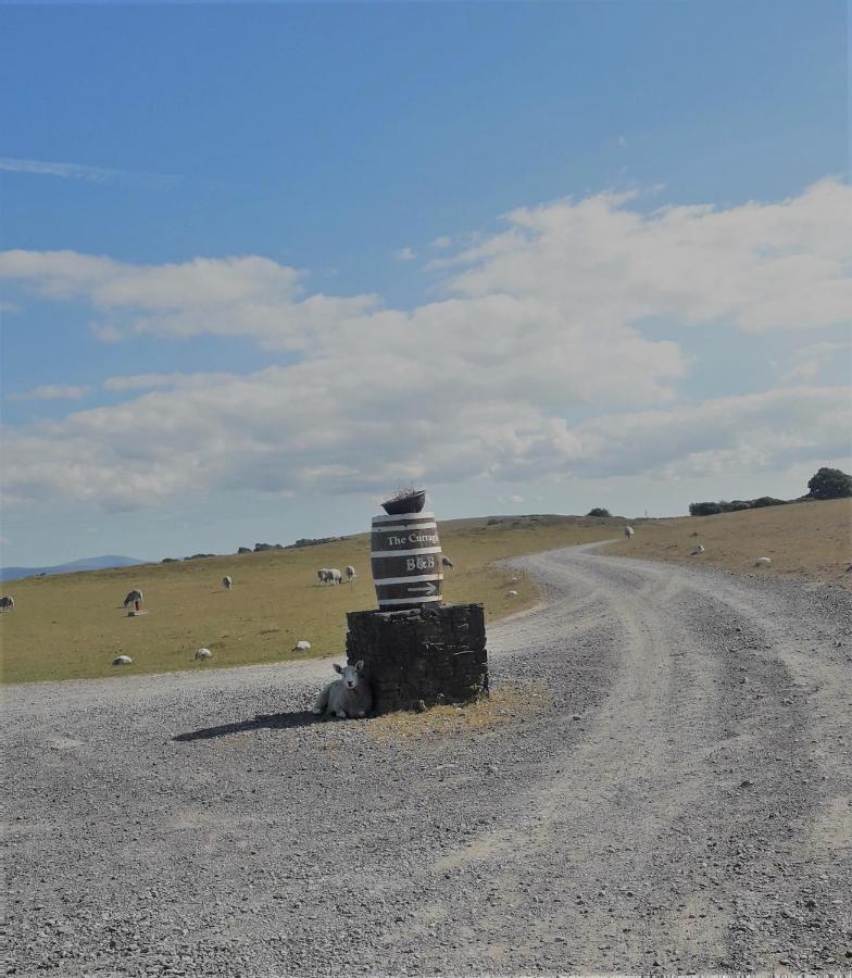 The Curragh Country House Accommodation Нюбридж Екстериор снимка