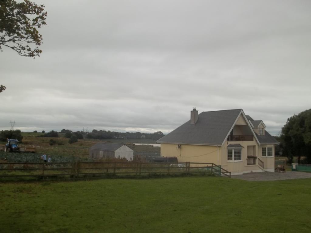 The Curragh Country House Accommodation Нюбридж Екстериор снимка