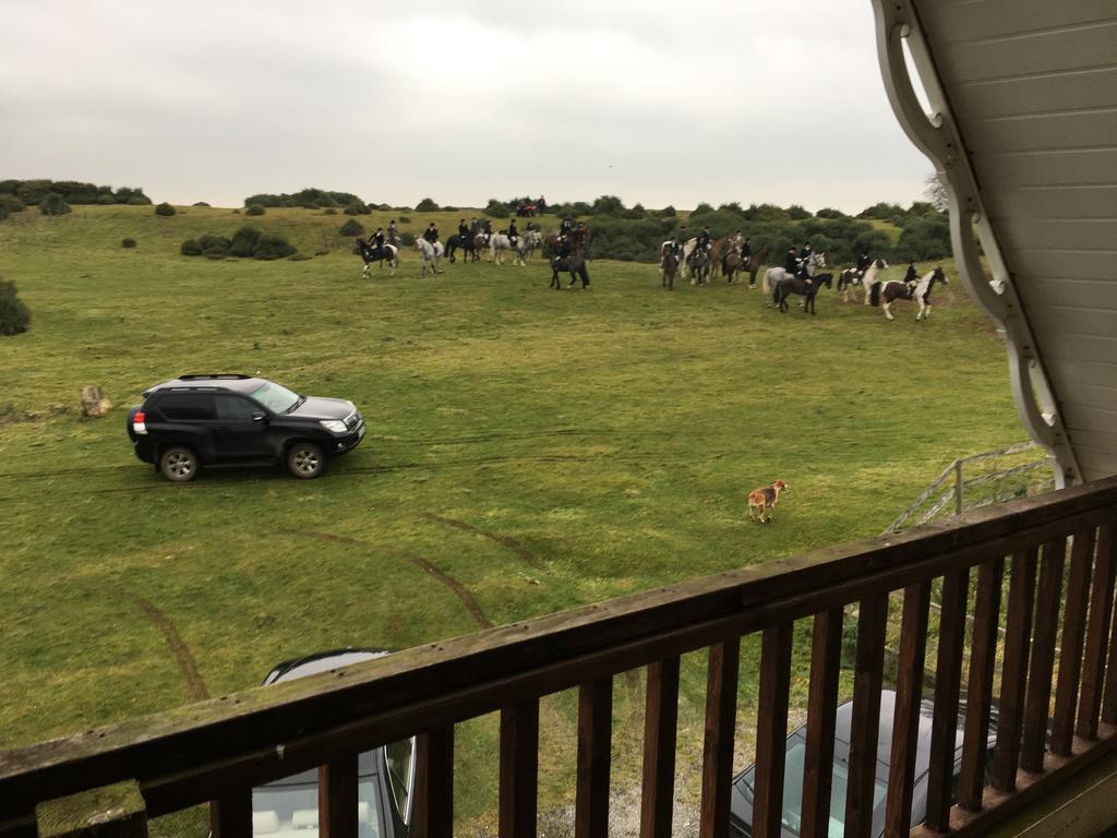 The Curragh Country House Accommodation Нюбридж Екстериор снимка