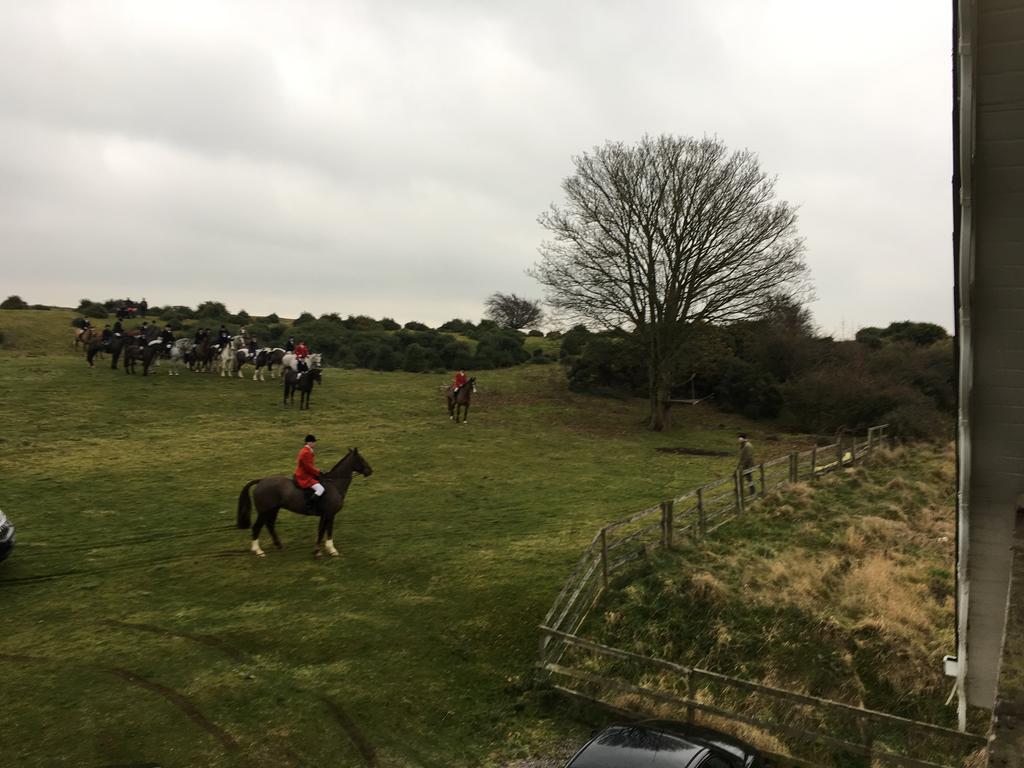 The Curragh Country House Accommodation Нюбридж Екстериор снимка